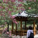 발한공원 이미지