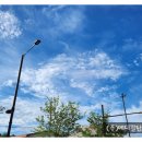 파란메디칼(주) 이미지