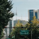 품마을행정사 합동사무소 이미지