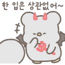프리미엄 PT 머피 네이버블로그