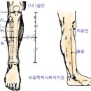 건강 쑥뜸 자리 이미지