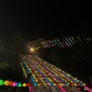 삼광사 | [부산] 삼광사 연등축제 후기