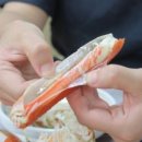 기장총각대게 이미지