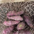 대항펜션 이미지