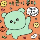 청담피자 네이버블로그