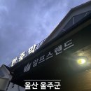 애니카랜드언양점 | [울산 울주군] 울산 찜질방 한증막 추천 / '알프스랜드' 후기