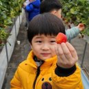 동명초교병설 이미지