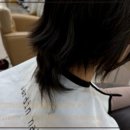 머리사랑헤어 | 대구 붙임머리 자르딘헤어, 내돈내산 후기