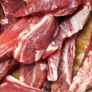 강호동백정 이미지