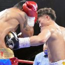 밴텀복싱 이미지