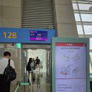 273 | 티웨이항공 인천~ 사가 왕복 탑승후기(TW273, TW274) 좌석간격 난기류 기체흔들림