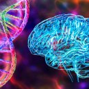 Strength Museum 이미지