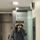 씨스퀘어파트너스 | 파사드패턴 캐시미어 더블 코트 내돈내산 돈 쓴 티 나는 후기