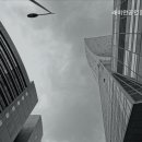 수서공인중개사사무소 이미지