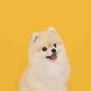 놀스튜디오 - 화성시 동탄순환대로12길 12 | 놀스튜디오