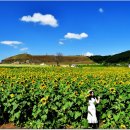 연천 호로고루 이미지