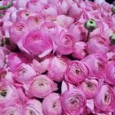 화랑농장 이미지