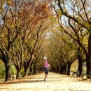 (주)남강유등마을 이미지