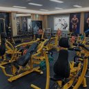 머슬&휘트니스클럽 | 헬스장 머슬앤휘트니스클럽 영월 영월읍 가격 비용 후기 추천