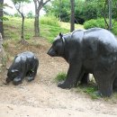 쉼터사슴 이미지