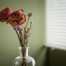 플라워 짐 이미지