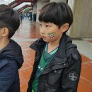 팀모터스 이미지