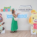 케이투월드(K2World) | 후쿠오카 마린월드 입장권 예약 할인 다양한 볼거리 돌고래쇼 후기
