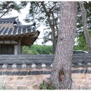 장수군번암면국포보건진료소 | 〈전북 장수군 - 반계정(盤溪亭)〉