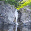 삼척활기자연휴양림 이미지