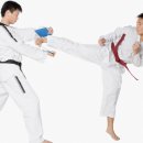 인성교육 태권도장 이미지