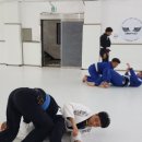 리버티BJJ 네이버블로그