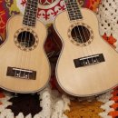 띵가띵가 우쿨렐레 이미지