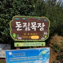 돈우목장 이미지