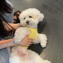 멍그라운드 이미지