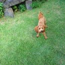 명월돌집 민박 이미지