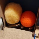 실험으로 알아보는 재미난 과학 이미지