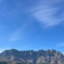 소노캄 델피노 A . B 이미지