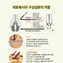 피토페시아S