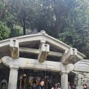 이코중식 이미지