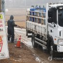 하향농장 이미지