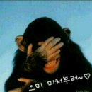 사오정