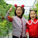 재인농장 이미지