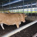 상주타이어 이미지