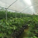 재천농장 이미지