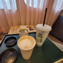 벌툰속초
