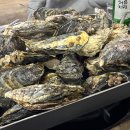 조게찜터 이미지