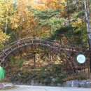 입화산참살이숲 야영장 | 입화산참살이숲야영장 울산 중구 여행