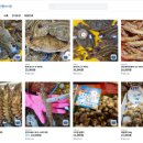 소래포구전통어시장 이미지