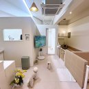 하비나 코지 이미지