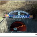 돌고래회집 - 서천군 | 돌고래회집